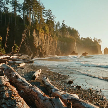 A dramatic coastal scene featuring a rugged beach with large driftwood logs scattered along the shore. The rocky cliffs rise steeply from the beach, covered with dense evergreen trees. The waves gently crash against the rocks, and the sunlight casts a warm glow, creating a misty and serene atmosphere.