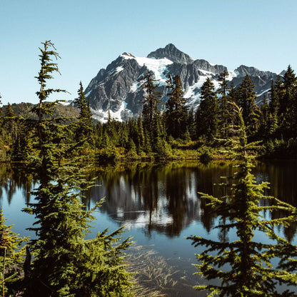 A clear lake surrounded by trees with a mountain in the background.