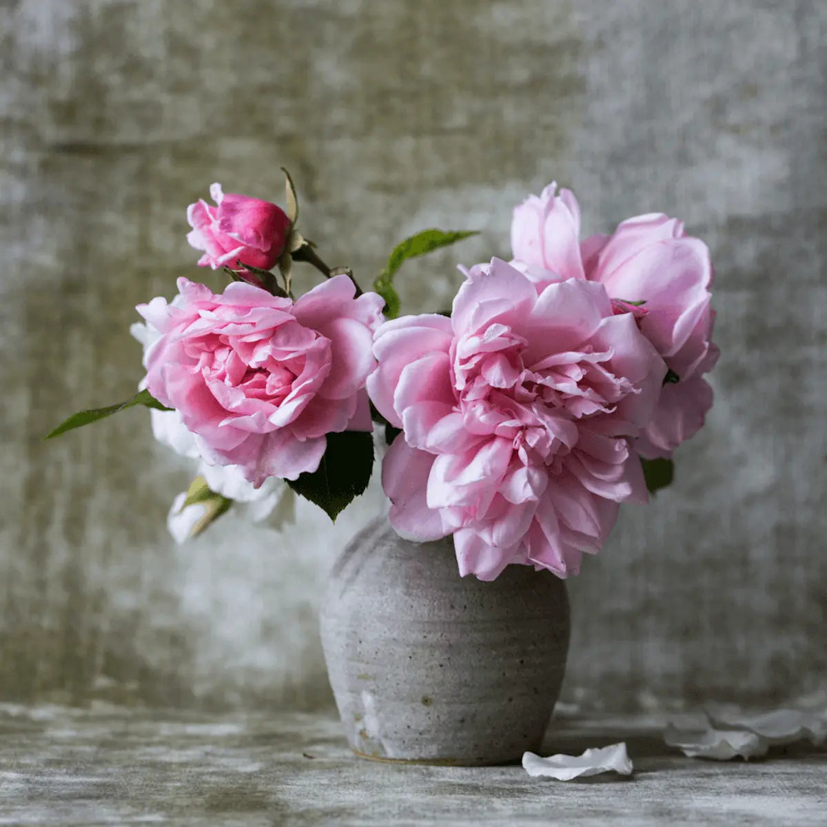 A potted group of peony flowers.